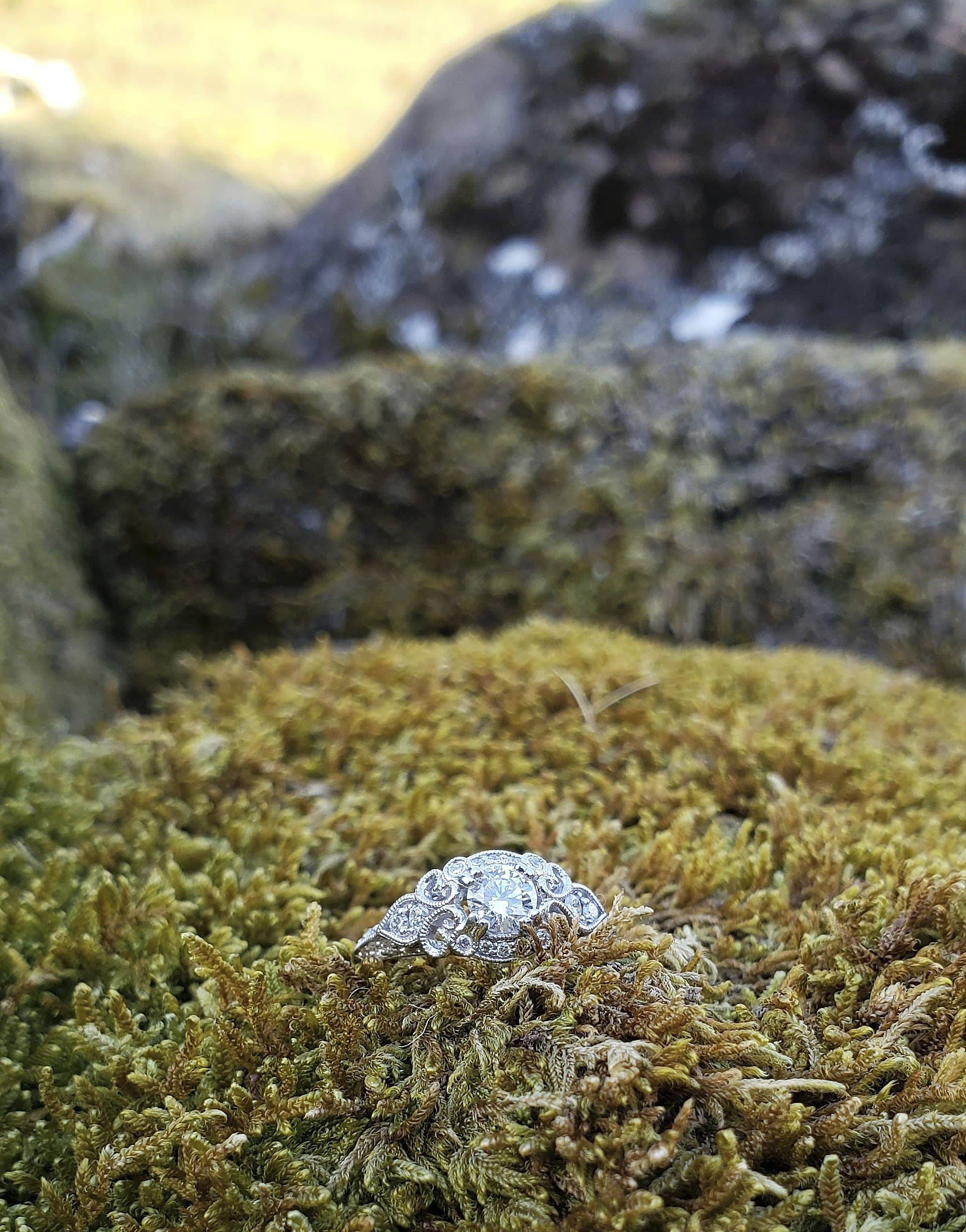 Ephraim and heather proposal_2